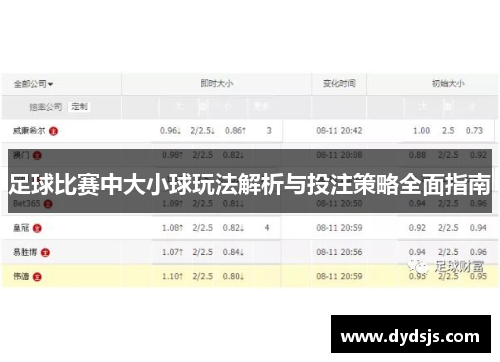 足球比赛中大小球玩法解析与投注策略全面指南