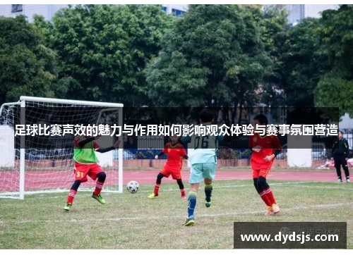 足球比赛声效的魅力与作用如何影响观众体验与赛事氛围营造