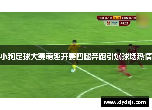 小狗足球大赛萌趣开赛四腿奔跑引爆球场热情